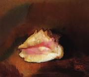 Odilon Redon The Shell oil painting artist